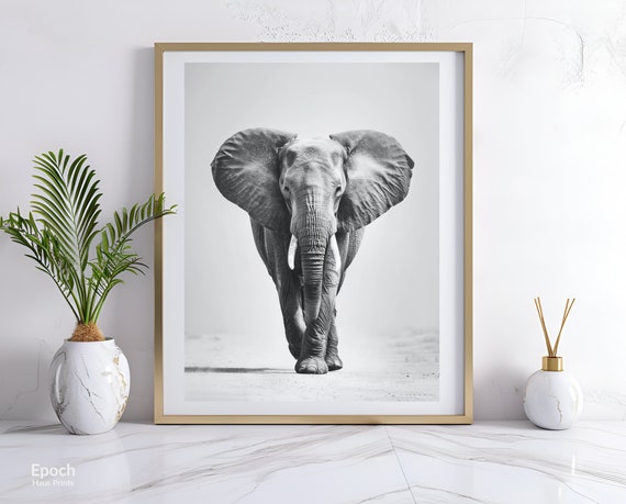 African Elephant Black And White Safari Art Print