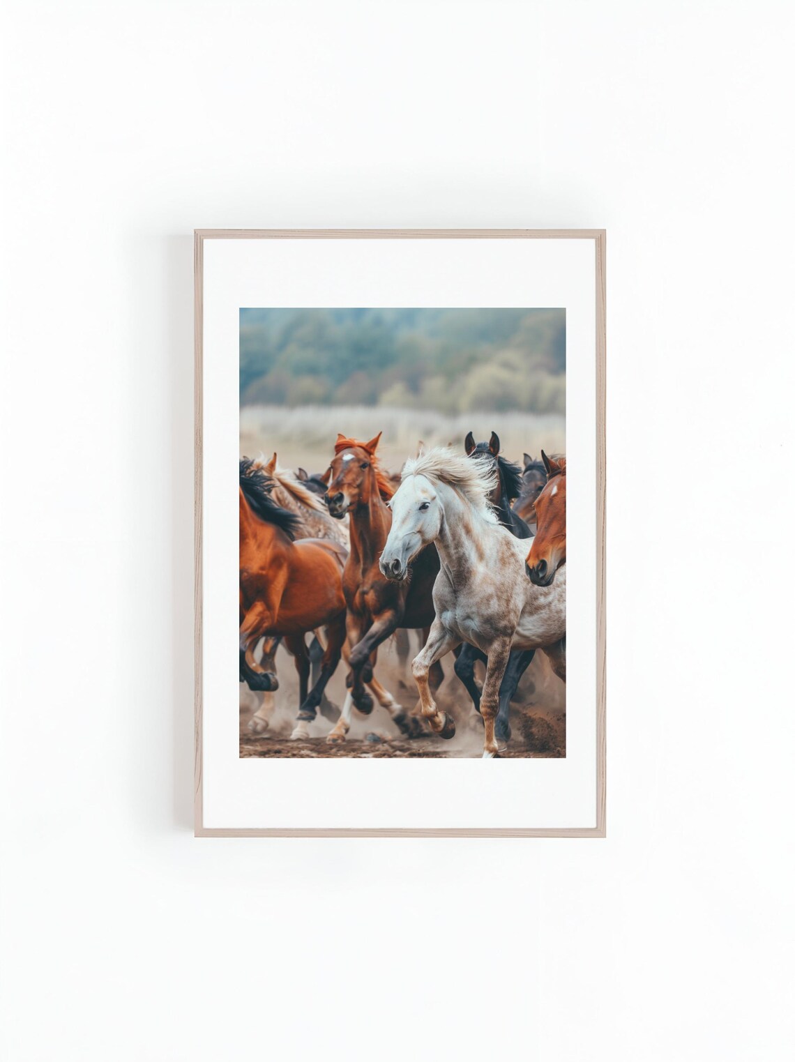 Wild Horses Running Action Photo, Wildlife Print