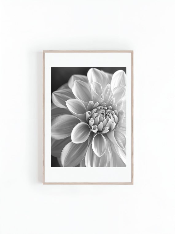 Dahlia Flower Macro Photo, Black And White Art Print