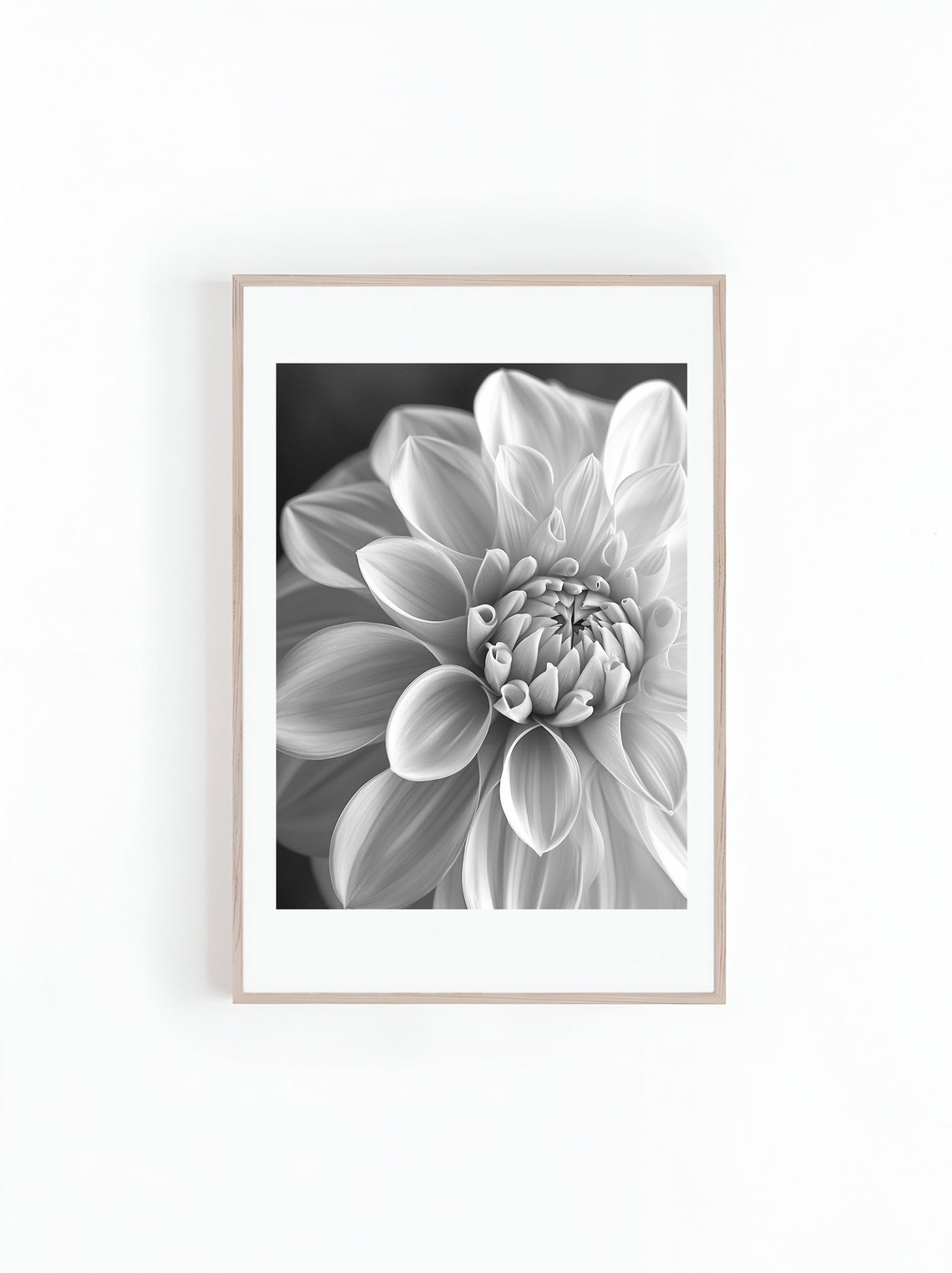 Dahlia Flower Macro Photo, Black And White Art Print