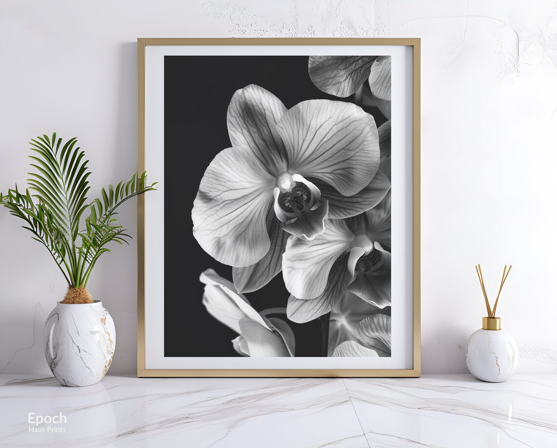 Orchid Flower Photo, Black And White Floral Art