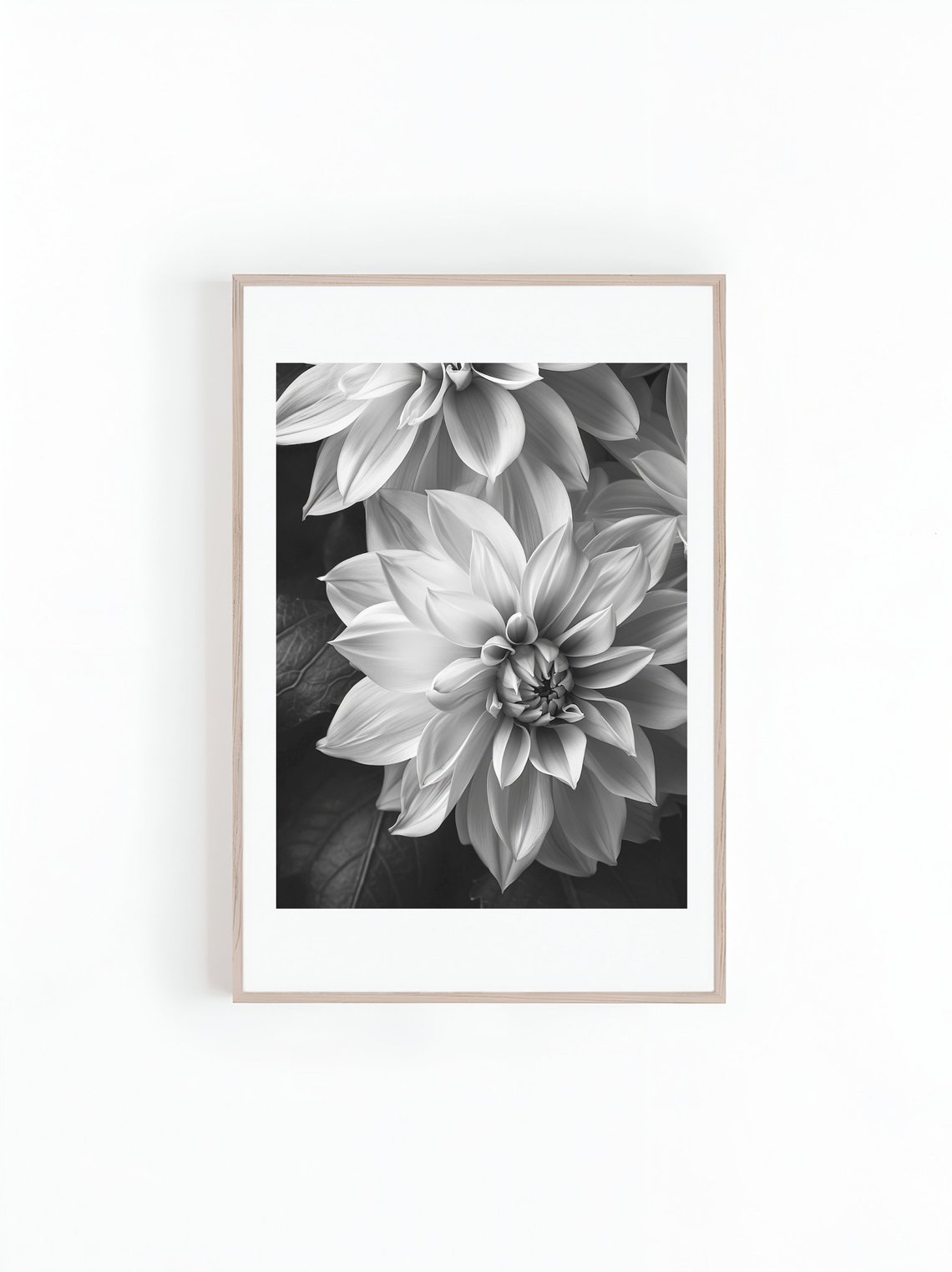 Dahlia Flower Monochrome Photography Art Print