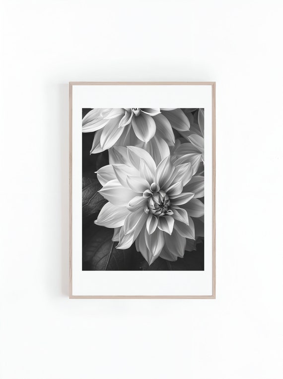 Dahlia Flower Monochrome Photography Art Print