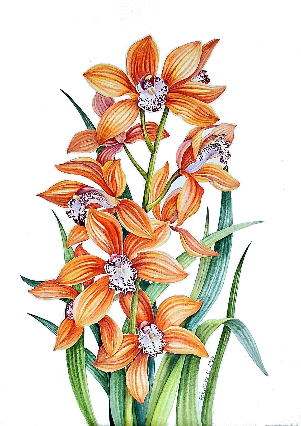 Watercolor Orchid Blossom, Tropical Floral Art Print