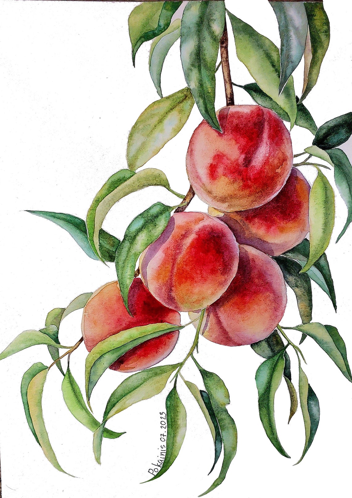 Ripe Blush Peaches Leafy Branch Soft Watercolor Botanical Poster