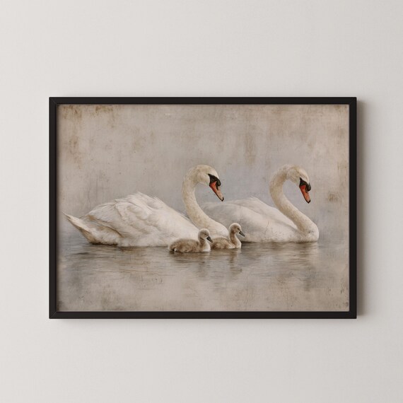 Swan Family With Cygnets Swimming Vintage Neutral Nursery Painting Poster