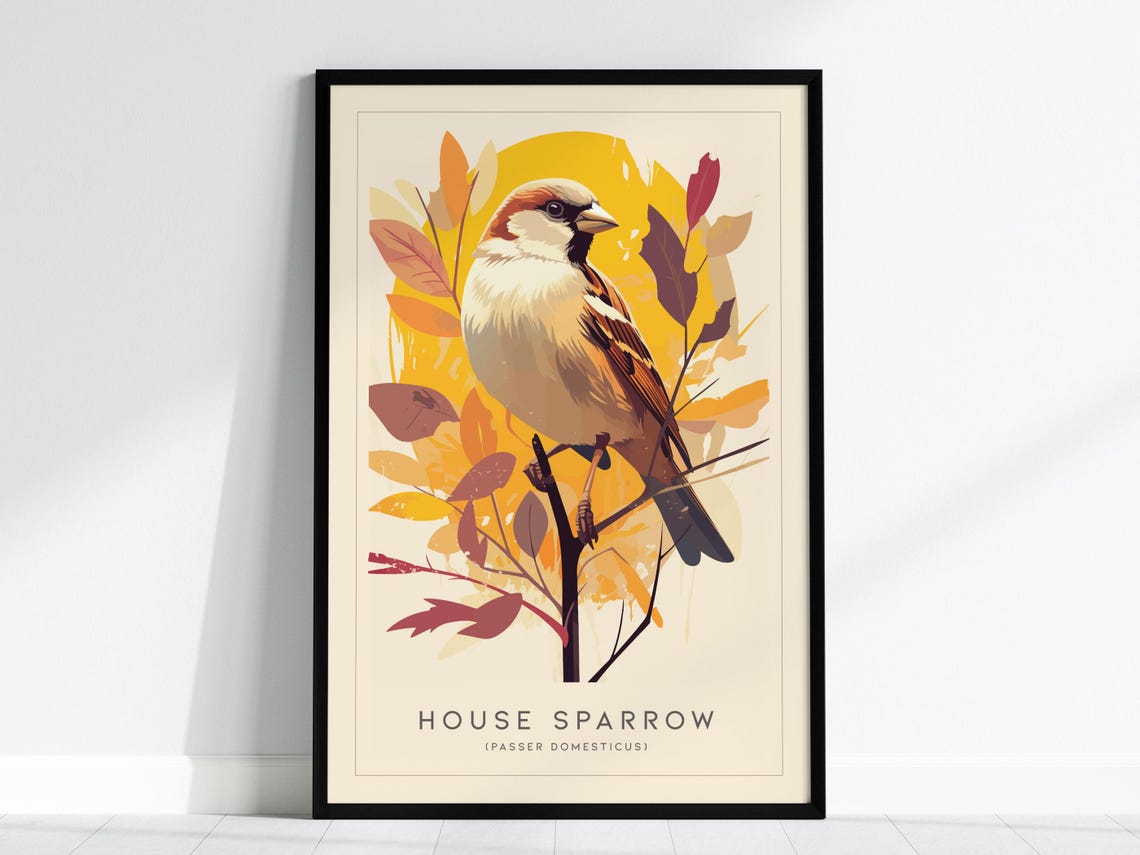 House Sparrow Art Print Modern Minimalist Bird Illustration