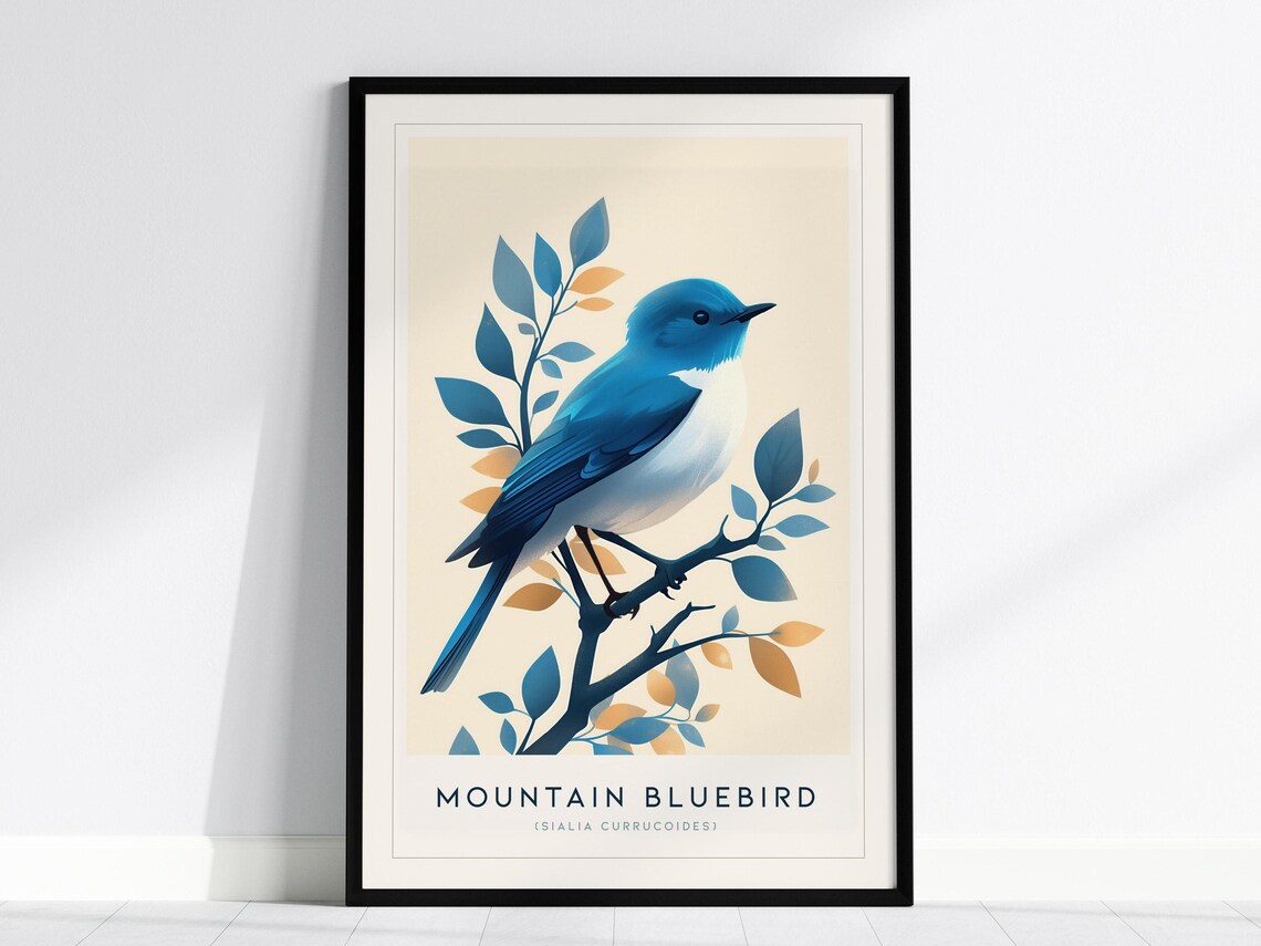 Mountain Bluebird Vintage Ornithology Bird Illustration Poster