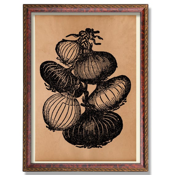 Onion Botanical Kitchen Decor Rustic Vegetable Wall Art Antique Garden Illustration Vintage Farmhouse Poster Culinary Plant Decoration