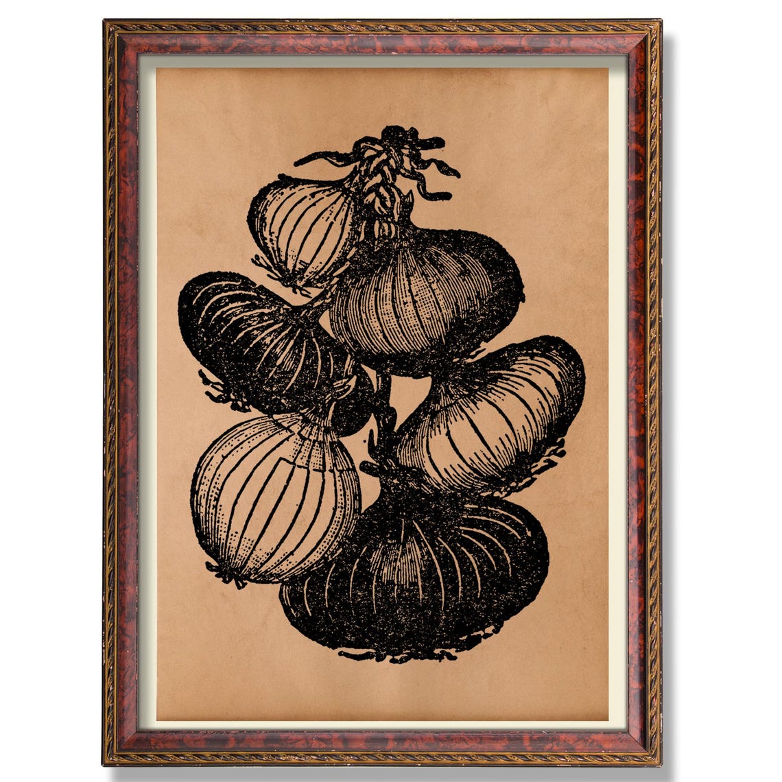 Onion Botanical Kitchen Decor Rustic Vegetable Wall Art Antique Garden Illustration Vintage Farmhouse Poster Culinary Plant Decoration