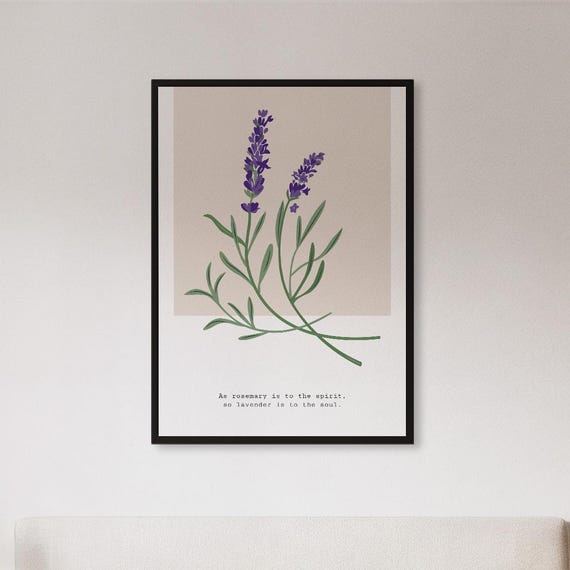 Framed Lavender Herb Botanical Wall Art Print Minimal Plant Illustration Poster Calm Natural Kitchen Decor Gift For Herbal Or Zen Lovers