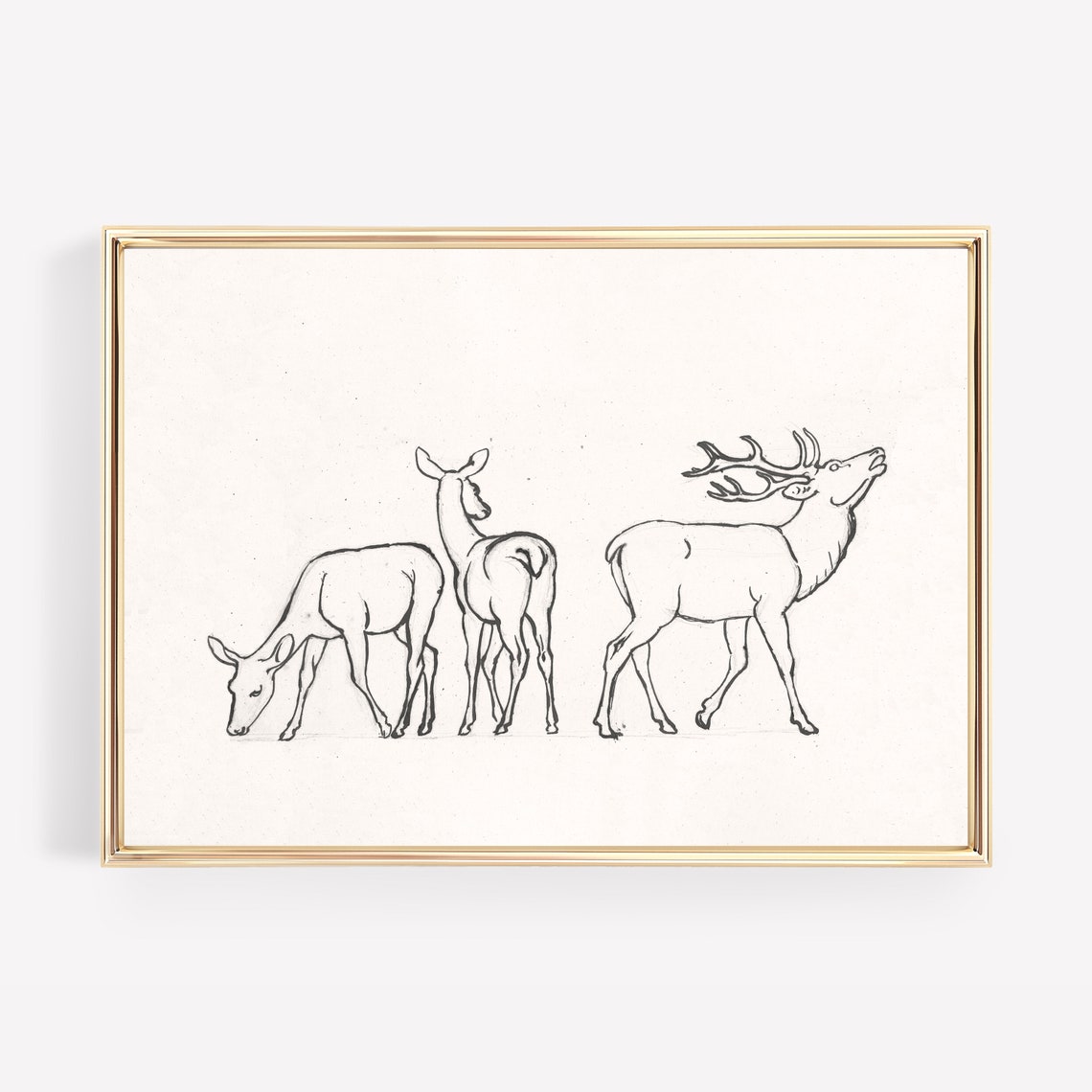 Minimalist Deer Line Drawing Stag and Does Wildlife Art Poster