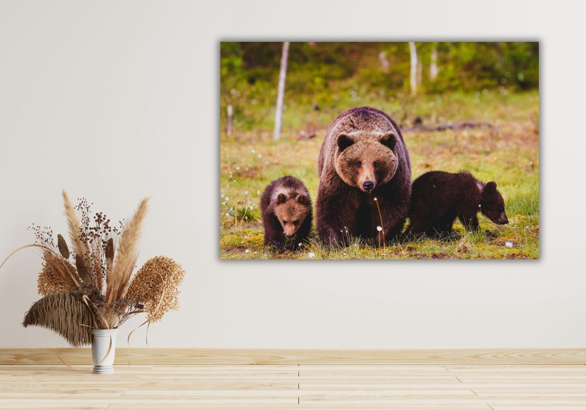 Brown Bear Mother Two Cubs Wildlife Forest Photography Art Poster - Image 2
