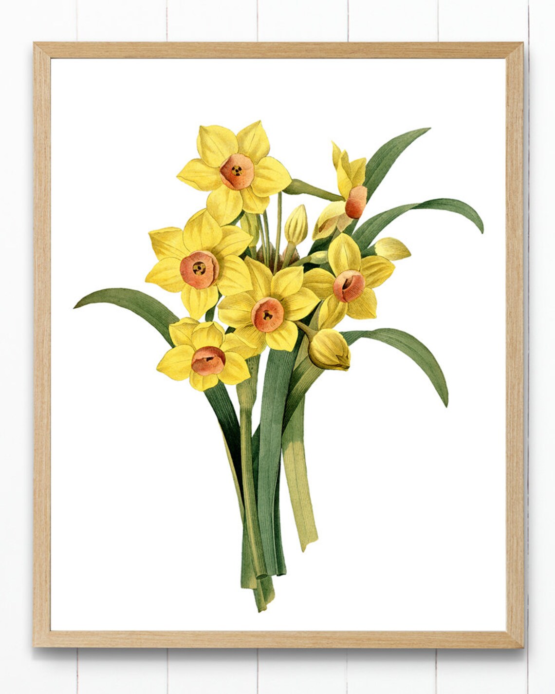 Yellow Daffodils Vintage Flower Illustration Art Print - Image 4