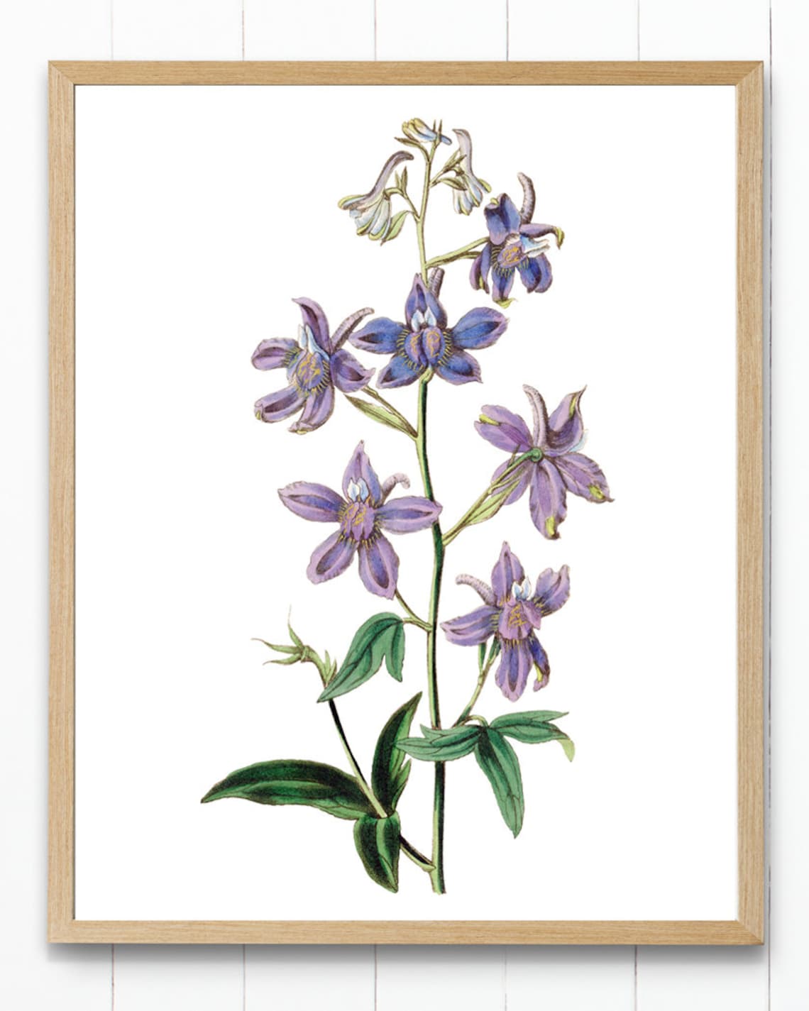 Purple Larkspur Wildflower Stem Vintage Botanical Illustration Poster - Image 4