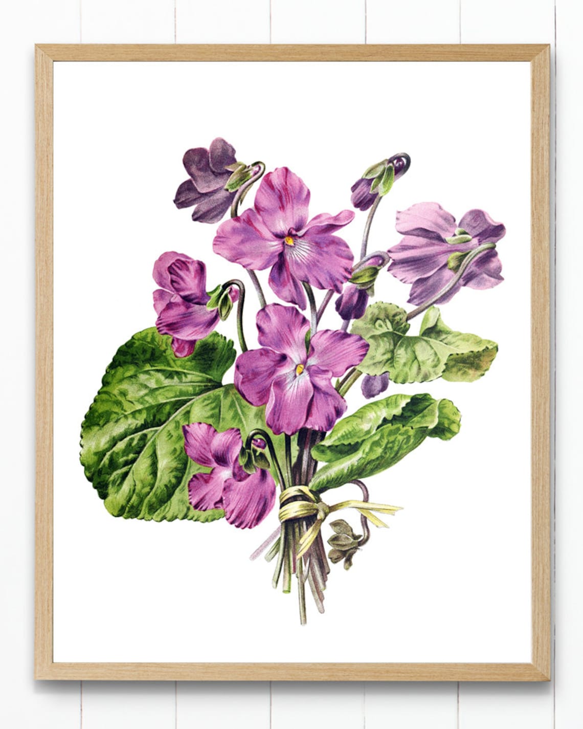 French Violets Vintage Flower Illustration Art Print - Image 2