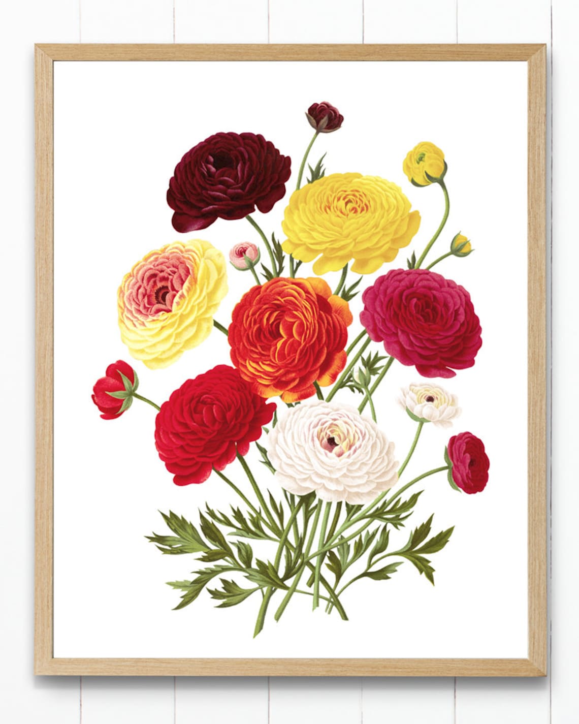 Autumn Floral Vintage Ranunculus Bouquet Art Print - Image 4