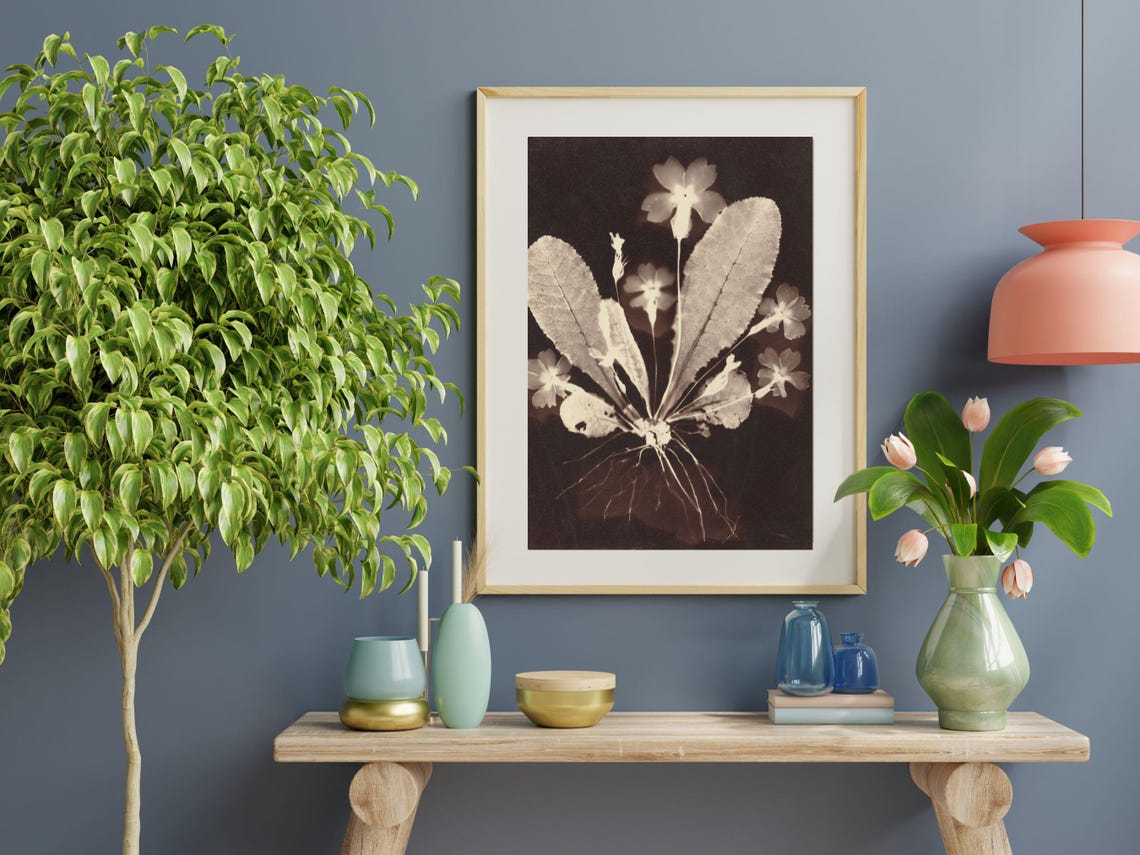 Haunting Botanical Photogram Sepia Wildflowers Roots Nature Wall Art - Image 5