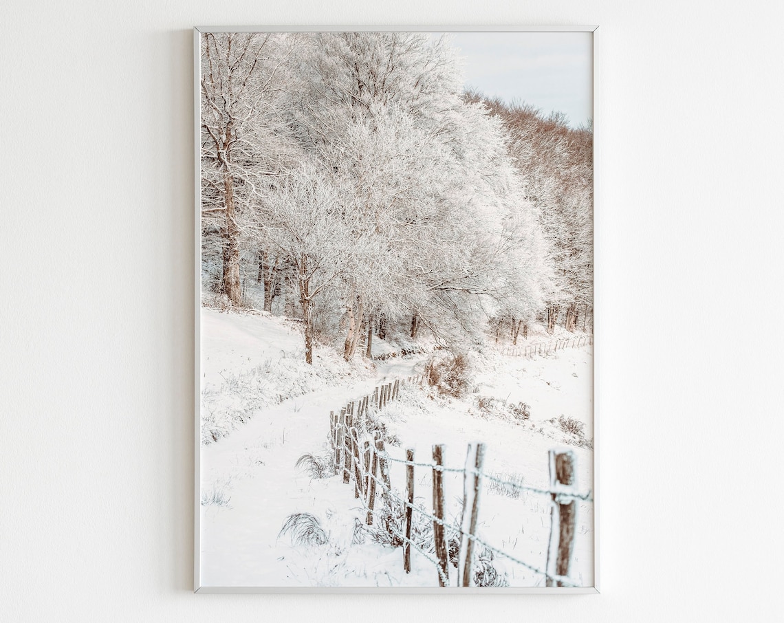 Snowy Country Road Fence Frosted Trees Winter Photo Landscape Poster