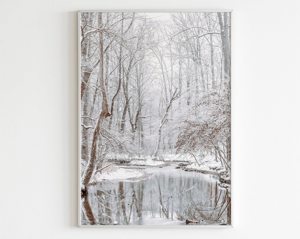 Snowy Forest Stream Winter Reflection White Woods Photo Art Poster