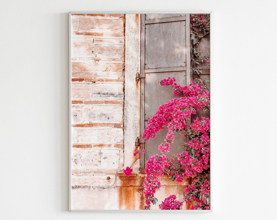 Pink Bougainvillea Climbing Old Rustic Door Weathered Wall Art