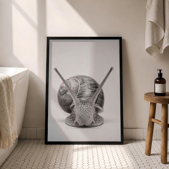 Giant Snail Macro Black And White Minimalist Photography Wall Art