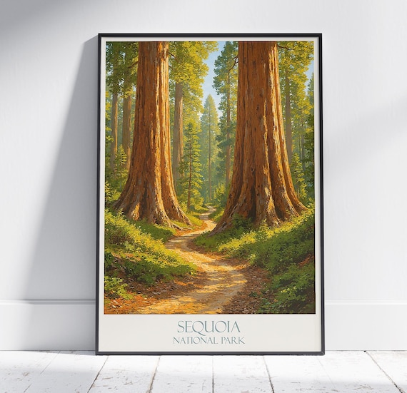 Sequoia National Park Giant Trees Sunlit Forest Path Nature Poster