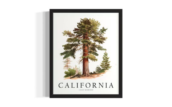 Tree States Art Print Living Room Wall Poster Original Painting Artwork Decor