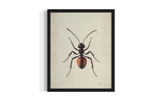 Ant Botanical Illustration Vintage Cream Insect Study Art Poster