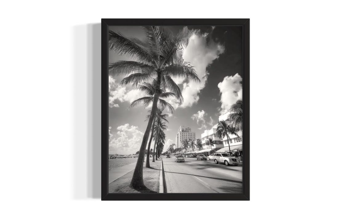 Black and White Palm Lined Coastal Boulevard Street Photo Poster