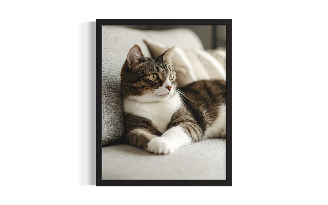 Tabby Cat Relaxing on Gray Sofa Soft Cozy Neutral Home Art Poster