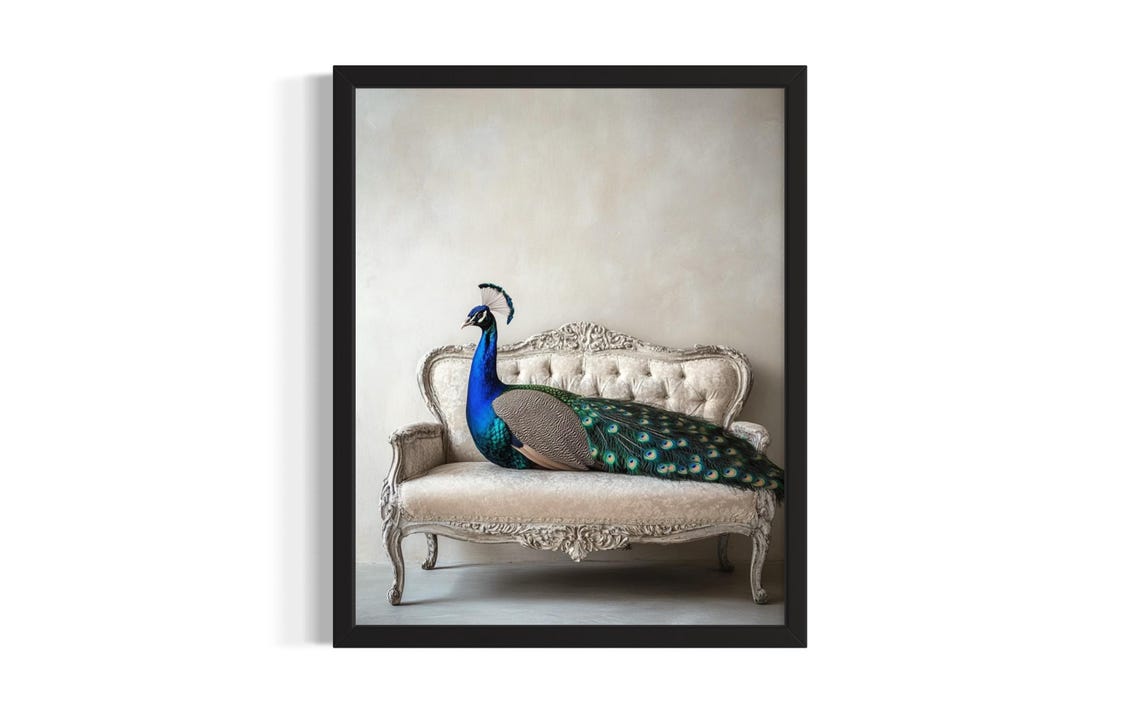 Vibrant Peacock Perched on White Vintage Settee Art Vintage Poster