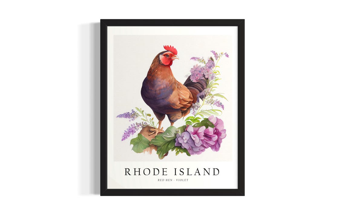 Rhode Island Red Hen With Violet Flowers Watercolor Bird Art Poster