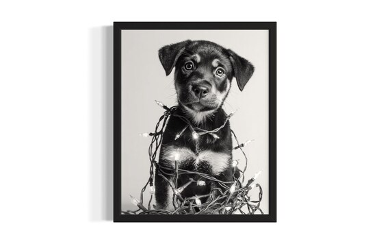Sweet Rottweiler Puppy Tangled In Glowing Christmas Lights Poster