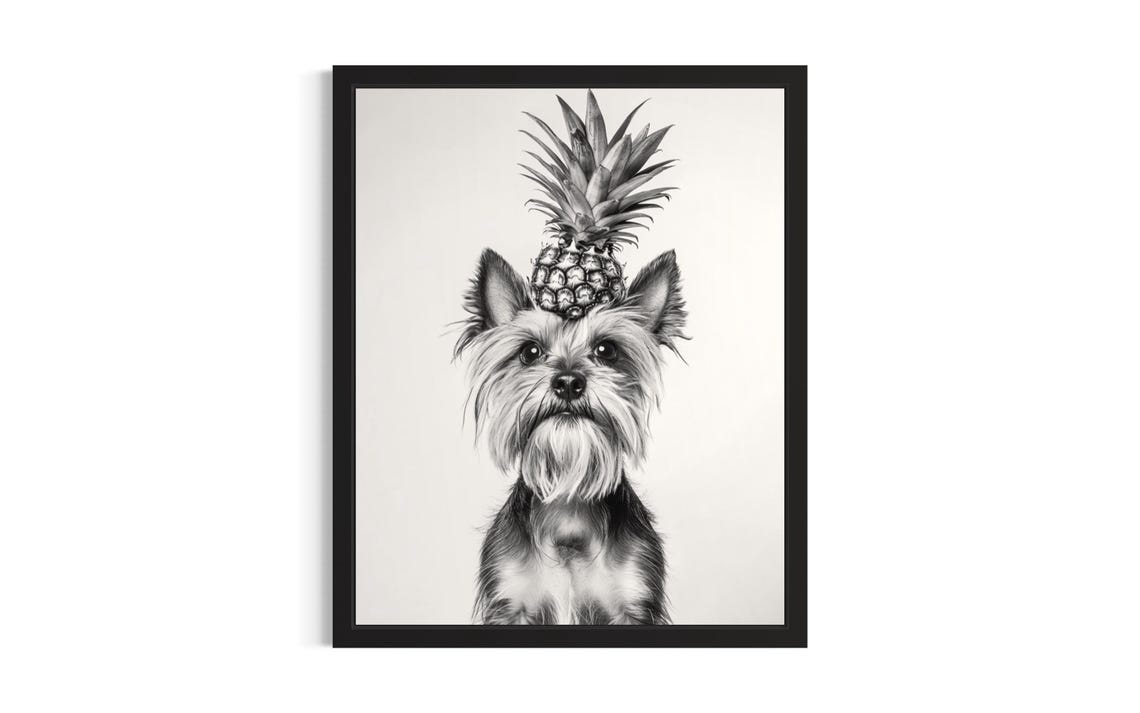 Yorkshire Terrier Balancing Pineapple Black White Dog Portrait Poster