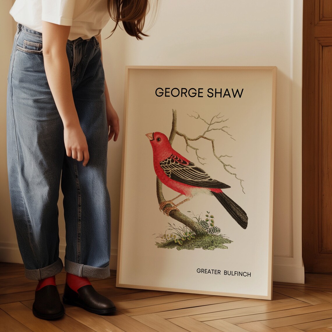 George Shaw Greater Bulfinch Vintage Crimson Finch Bird Poster - Image 3