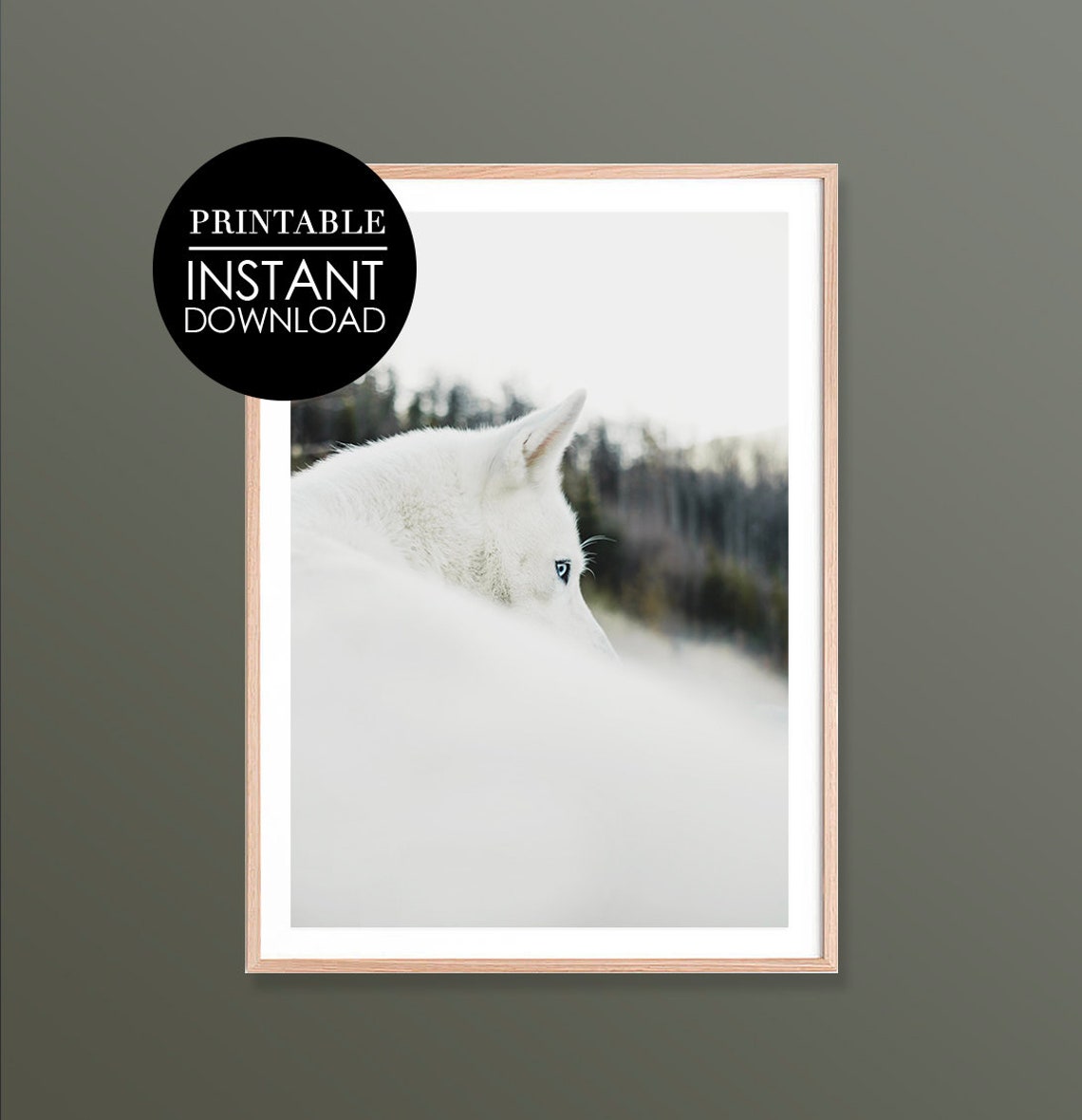 White Wolf Snow Minimalist Winter Wildlife Photography Art Print