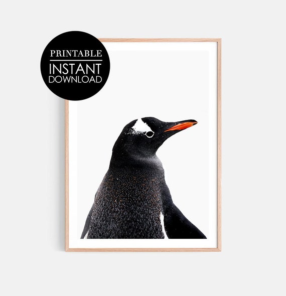 Penguin Print Art Nursery Wall Decor Holiday Black White Bird