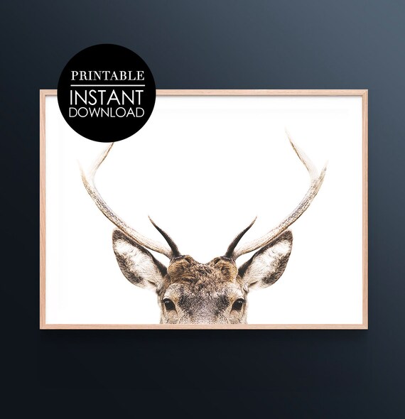 Stag with Wide Antlers White Background Minimalist Wildlife Poster