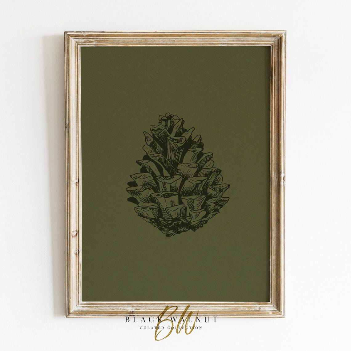 Pinecone Botanical Sketch Dark Green Vintage Minimalist Winter Poster