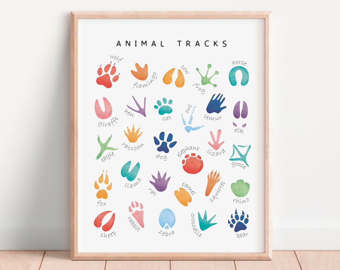 Animal Tracks Poster, Rainbow Nursery Decor