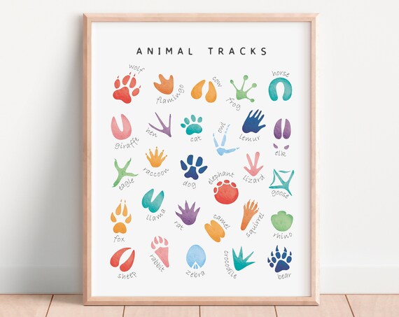 Animal Tracks Poster, Rainbow Nursery Decor