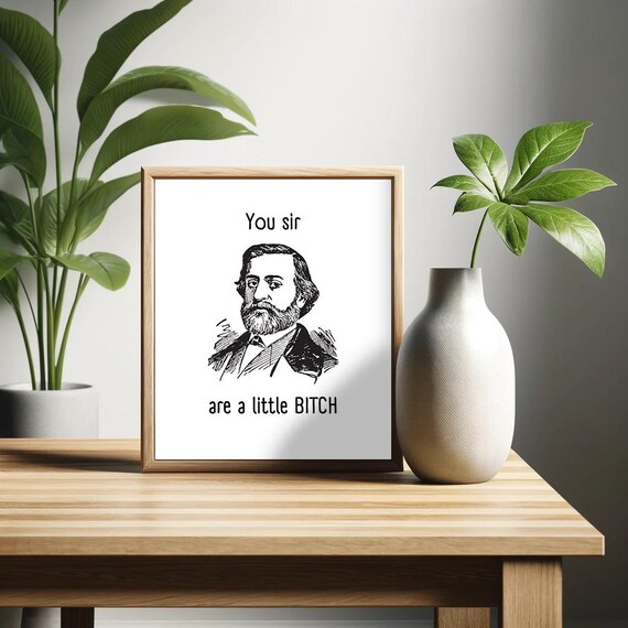 You Sir Are A Little Bitch Funny Poster Sarcastic Wall Art Minimalist Humor Decor