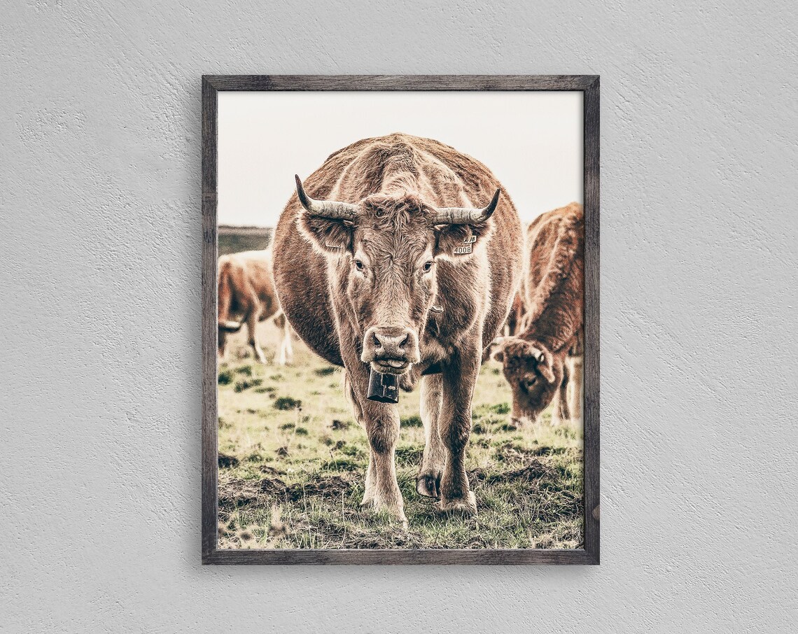 Cow Print, Rustic Farm Art Print