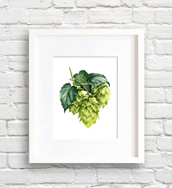 Hops Watercolor Art Print, Kitchen Wall Decor