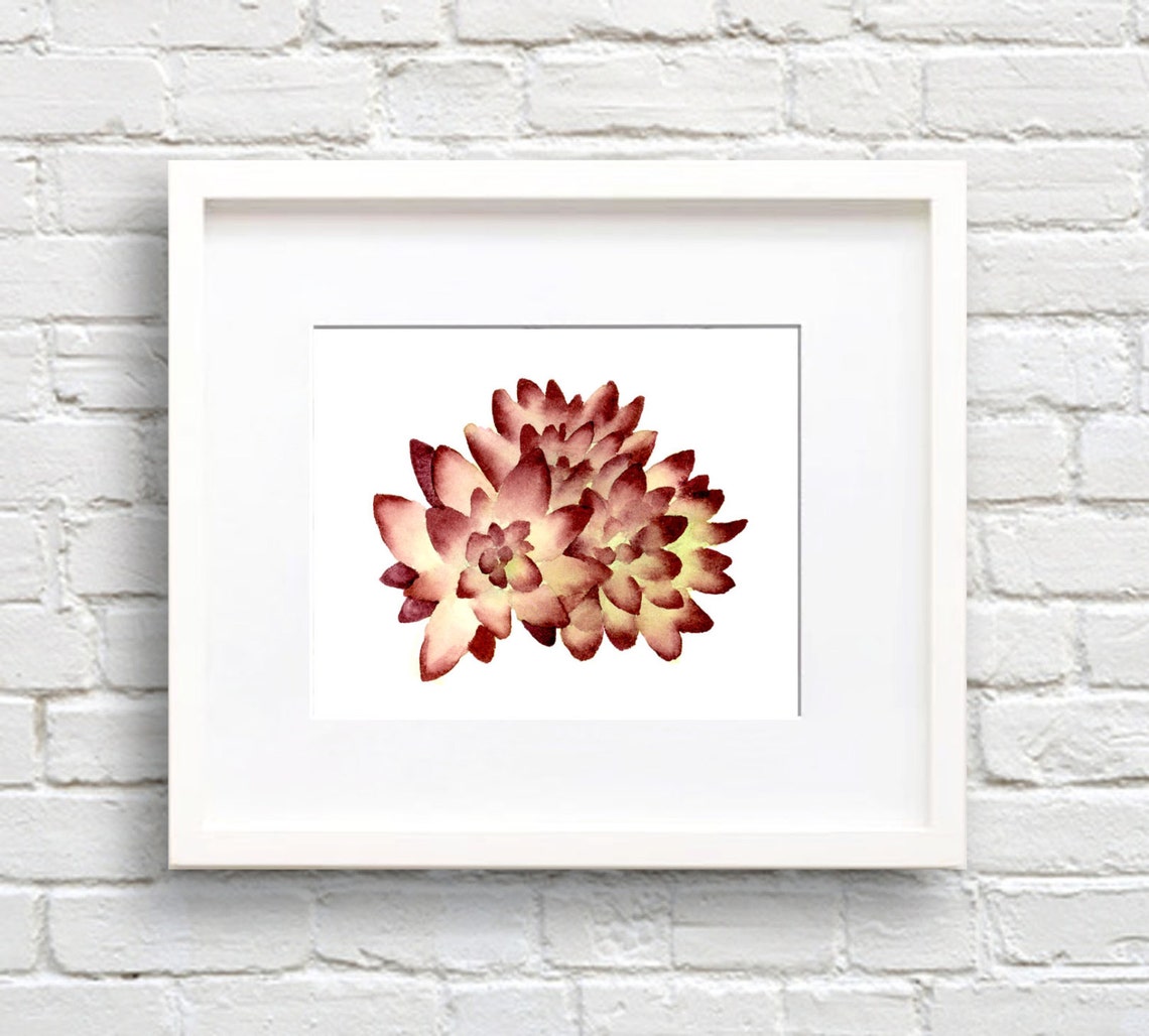 Burgundy Succulent Rosette Botanical Watercolor Framed Poster