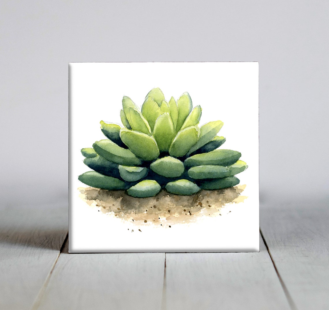 Green Succulent Cluster Watercolor Botanical Plant Tile Poster