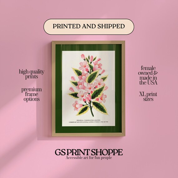 Weigela Pink Blossoms Vintage Botanical Illustration Art Poster