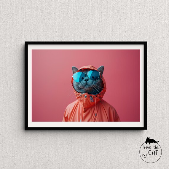 Cool Grey Cat in Orange Rain Jacket and Aviator Sunglasses Pink Poster
