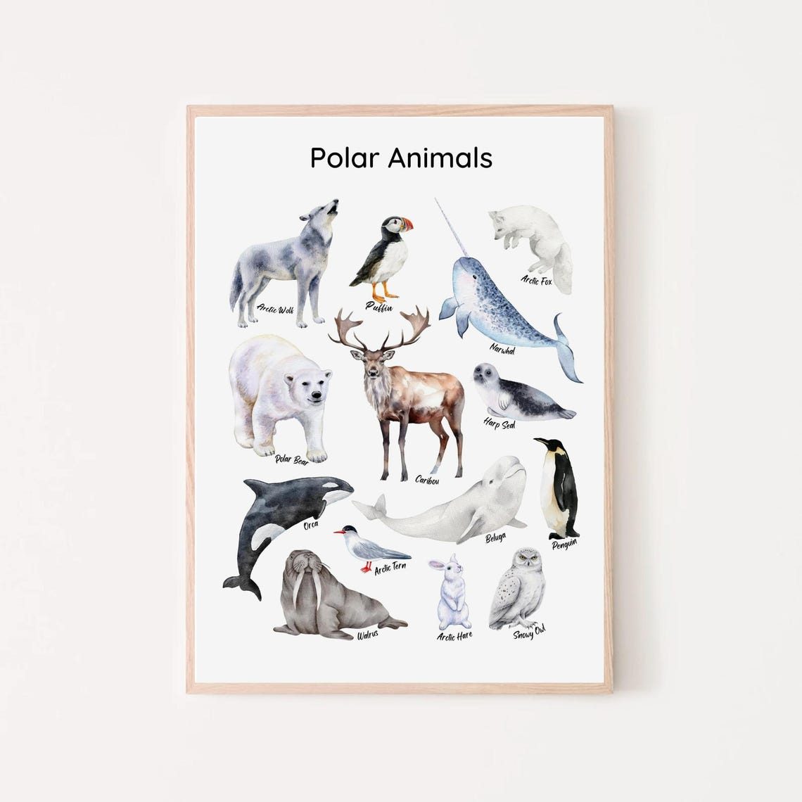 Polar Animals Watercolor Chart Polar Bear Penguin Narwhal Kids Poster